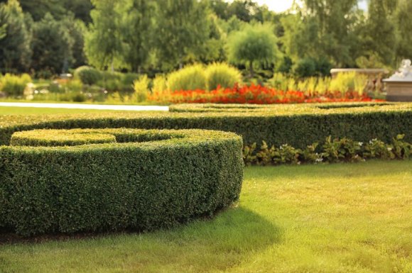 Comment avoir un beau jardin sans entretien ?