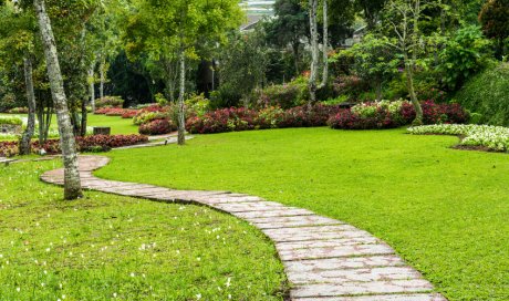 Réalisation et création d'allée de jardin bordée de rochers à Sommières